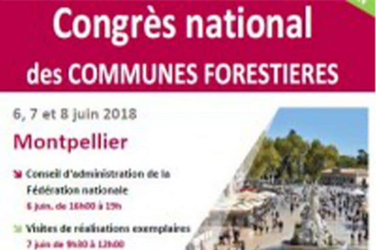Read more about the article Congrès national des communes forestières, Sylv’ACCTES témoigne