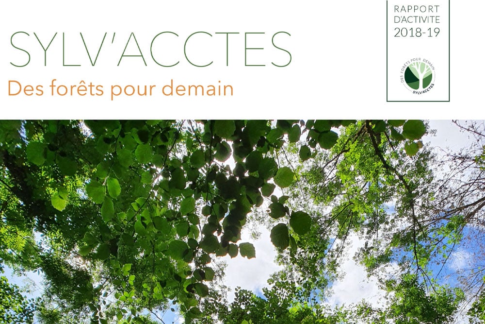 You are currently viewing Rapport d’activité 2018-2019