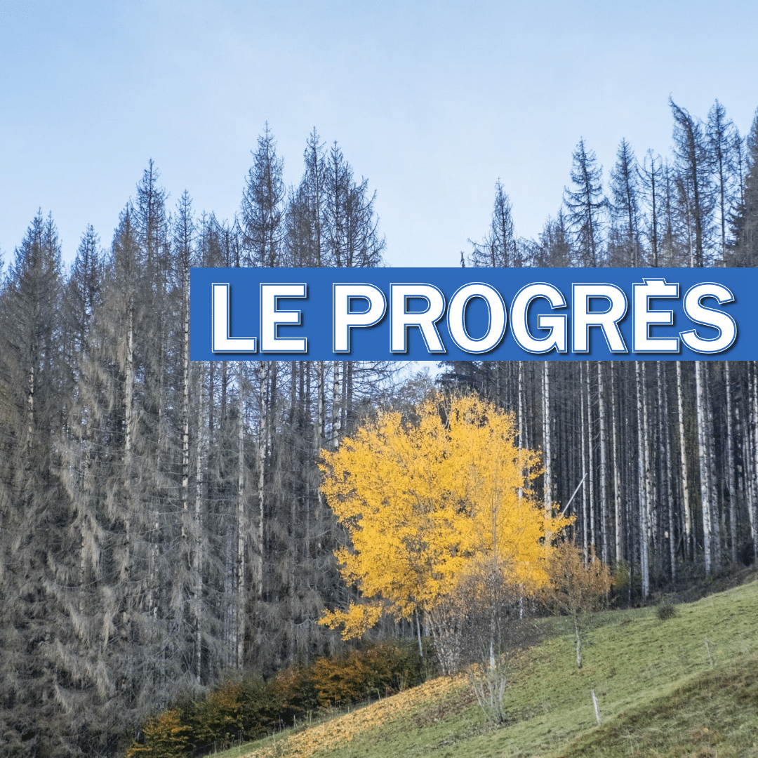You are currently viewing Le Progrès parle de nous