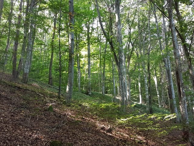 20190921_124159-min Monts du Lyonnais