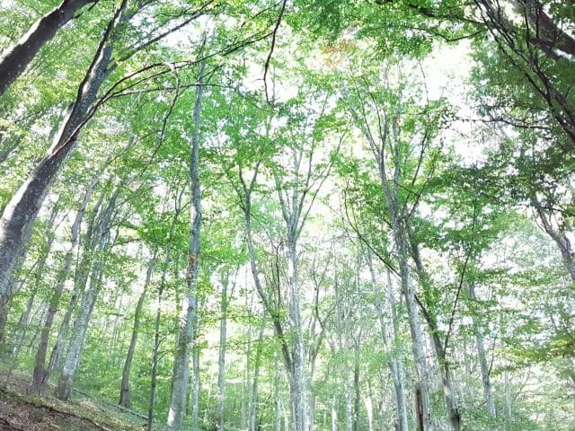 20190921_124221-min Monts du Lyonnais