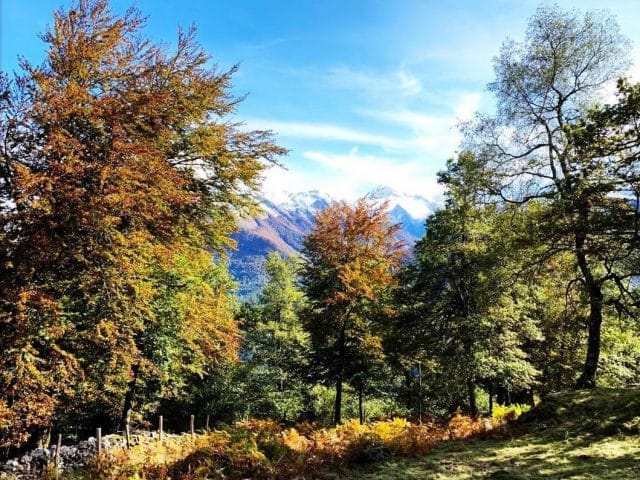 Massif des Pyrénées Ariégeoises Massif des Pyrénées Ariégeoises