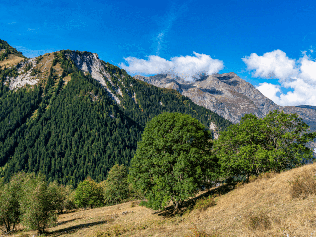 Alpes Sud Isère Alpes Sud Isère