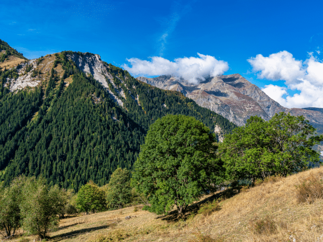 Bourg de l’Oisans 1 – LD CANVA Bourg de l'Oisans 1 - LD CANVA
