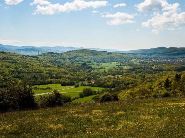 DSC_0119-476-min DSC_0119-476-min