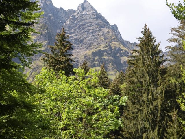 Arlysère Arlysère