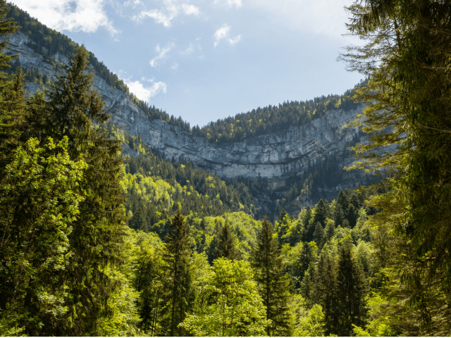 Le cirque de Saint Même – Chartreuse – LD Canva Le cirque de Saint Même - Chartreuse - LD Canva