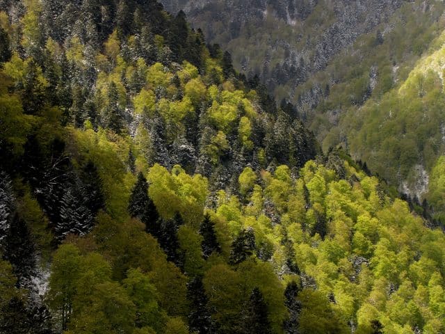 Pyrénées Ariégeoises Pyrénées Ariégeoises