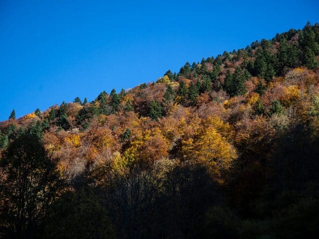 Le massif des Bauges Le massif des Bauges