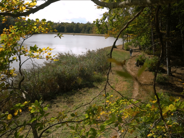 paysage paysage